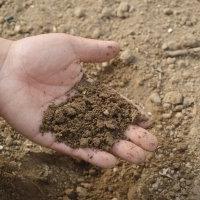 hand testing soil